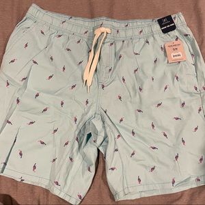 Light Blue Toucan Shorts